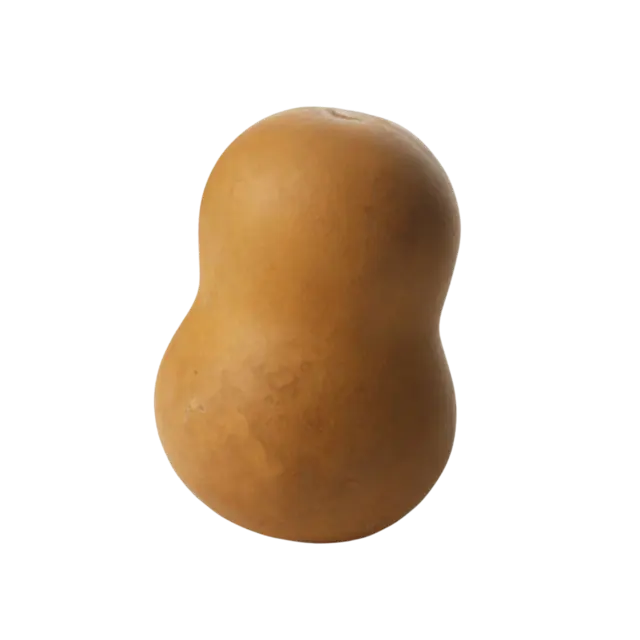 Kalahari Prof Massage Calabash 
