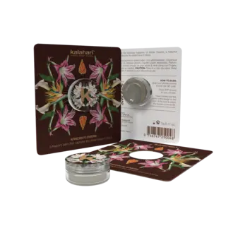 Kalahari African Flowers Fragrant Balm 5g