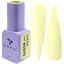 DNKa Color Gel Polish 12ml #0070