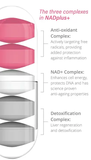 NADplus+60 