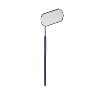 *Nouveau Lashes Lash Mirror