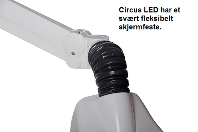 Luxo Lupelampe Circus LED 