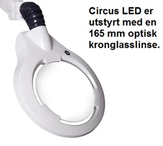 Luxo Lupelampe Circus LED 