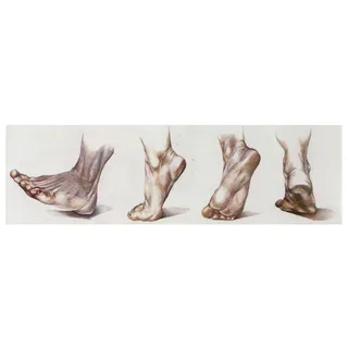 Fresco Feet Poster 100x35,5cm