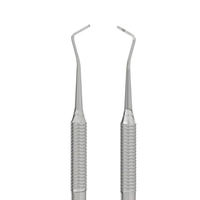 Staleks Pedicure Curette EXPERT 20 TYPE 2 