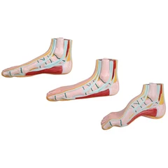 Modellføtter normal 3stk