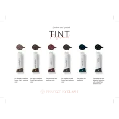 PE Brow &amp; Lash Tint Color Chart